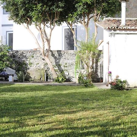 Ponta Delgada City Center, 200 Meters To Marina, Walk To Everything, Private Yard And Garden מראה חיצוני תמונה